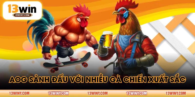 AOG sảnh đấu với nhiều gà chiến xuất sắc
