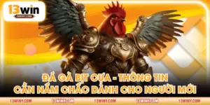 đá gà bịt cựa