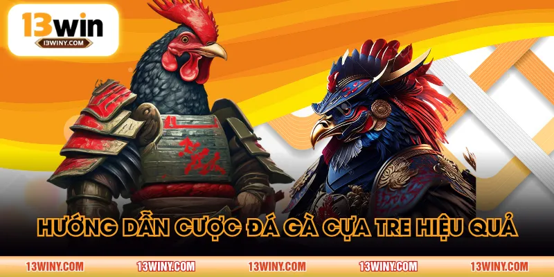 Hướng dẫn cược đá gà cựa tre hiệu quả